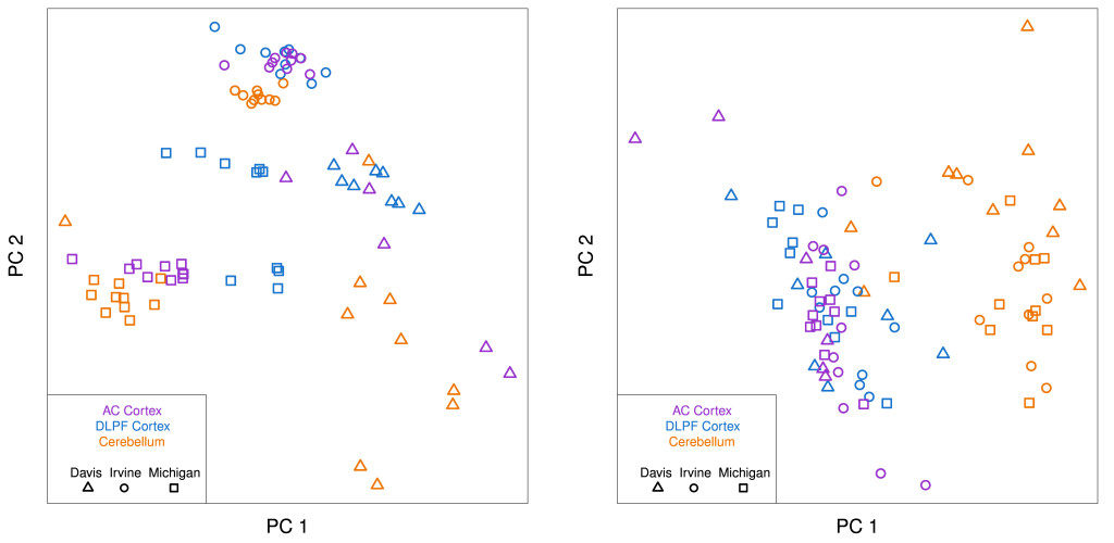 Microarray data from tissue samples taken from three different regions of the brain (anterior cingulate cortex, dorsolateral prefrontal cortex, and cerebellum) of ten individuals. The 30 tissue samples were separately analyzed in three different laboratories (UC Davis, UC Irvine, U of Michigan). The left plot shows the first two principal components of the data. The data cluster by laboratory, indicating that most of the variation in the data is systematic error that arises due to uncontrolled variation in laboratory conditions. The second plot shows the data after adjustment. The data now cluster by brain region (cortex vs. cerebellum). The data is from GEO (GSE2164).