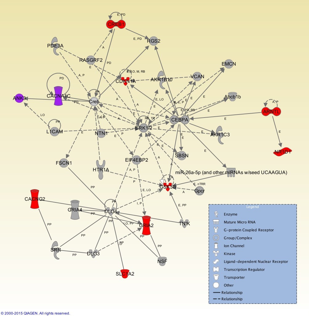 Lithium response network in human brain in bipolar disorder: A regulatory network in human brain mediating lithium response in bipolar patients was revealed by analysis of functional single nucleotide polymorphisms (SNPs) from genome-wide association studies (GWAS) and published gene association studies, followed by epigenome mapping. Noncoding SNPs characterized as altering enhancer and promoter function were imputed using fine epigenetic mapping, followed by bioinformatics analysis. Following gene set enrichment and pathway analysis, these genes were found to be significantly associated (p < 10-27; Fisher’s exact test) with this ionotropic AMPA2 glutamate receptor network in human brain67. Higgins GA, Allyn-Feuer A,Barbour E and Athey BD. “A glutamatergic network mediates lithium response in bipolar disorder as defined by epigenome pathway analysis.” Accepted, Journal of Pharmacogenomics. August 2015.