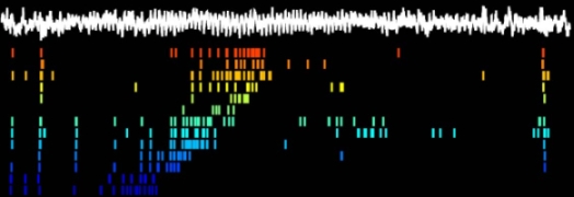 Spike times recorded from a population of hippocampal neurons during running on a maze.