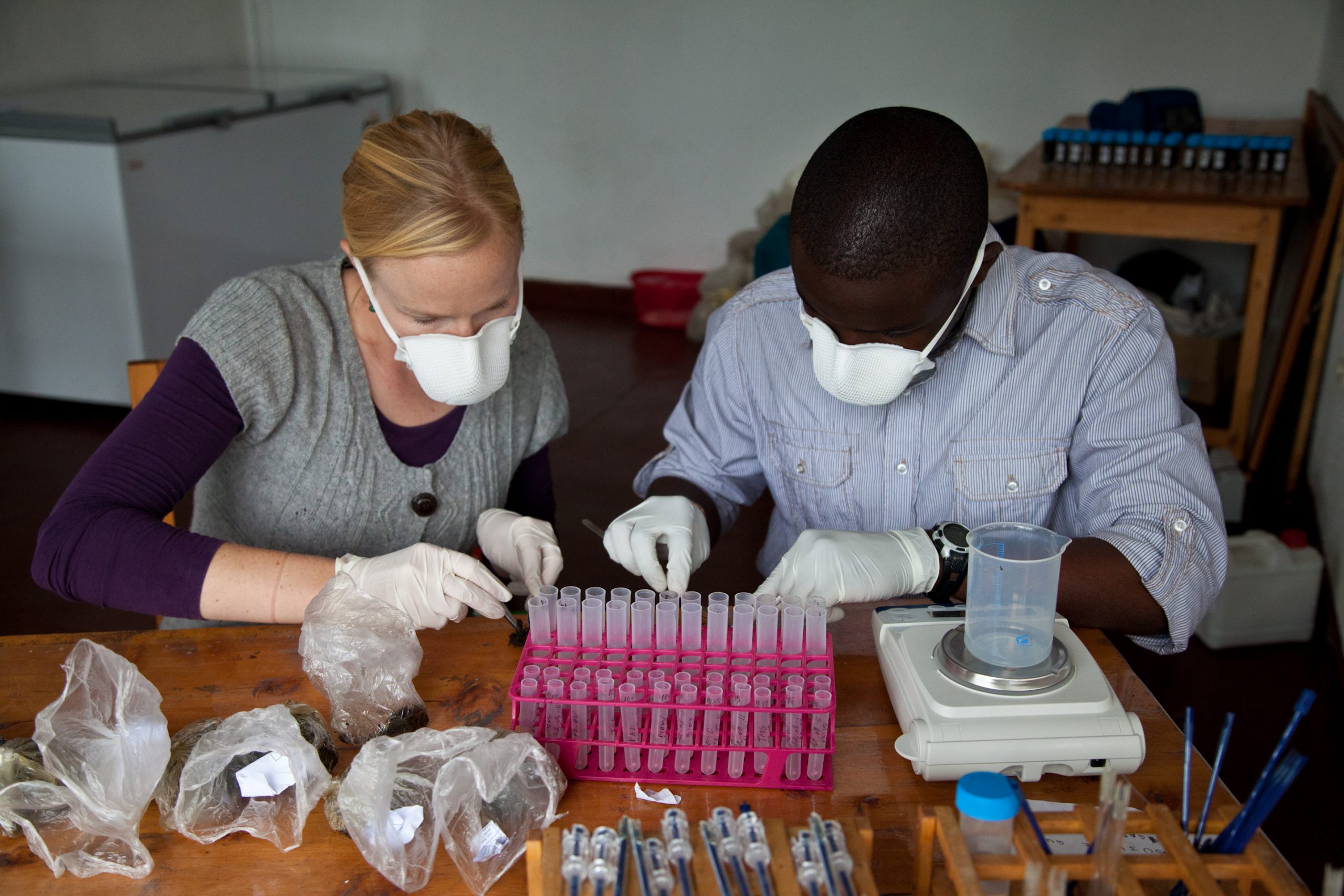 Preparing samples at a field lab in Rwanda