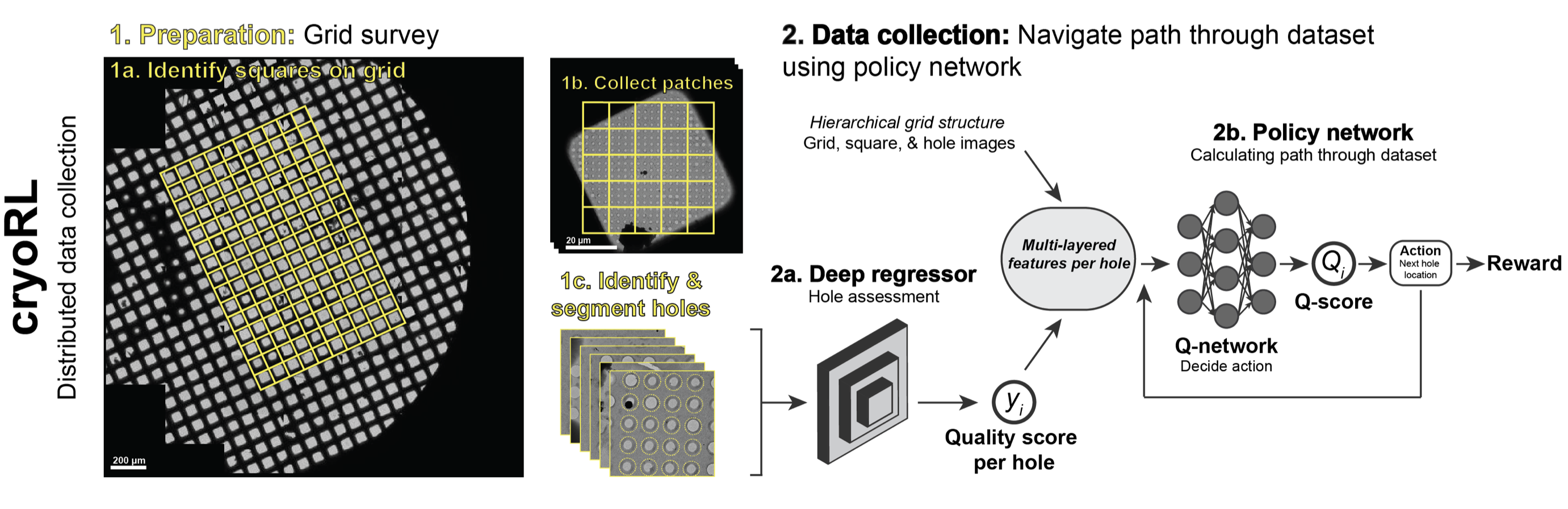 cryoRL Distributed Data Collection process diagram