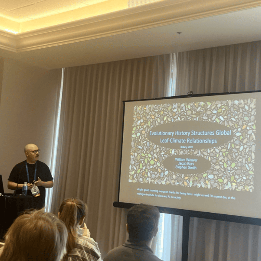 presenting at the Botanical Society of America conference, talking about macroevolutionary dynamics of leaf shape.